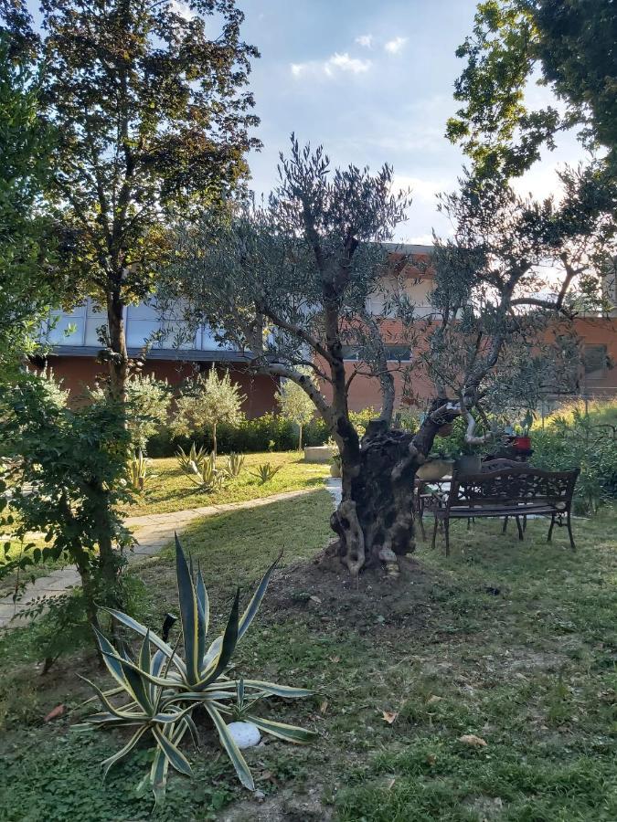 B&B Borgo Dei Cedri Pontecchio Marconi Exterior foto